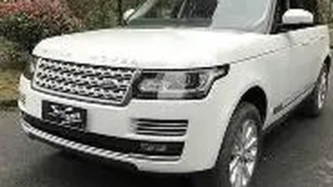 “五战四捷，芝加哥能否迎来胜利之夜？”