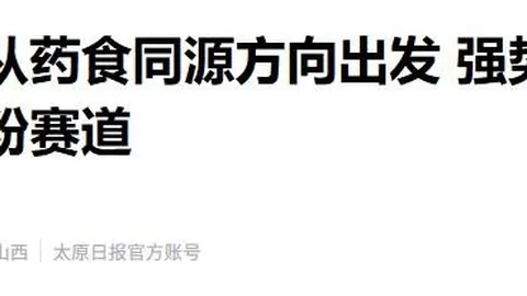 英雄联盟11，战队问鼎巅峰